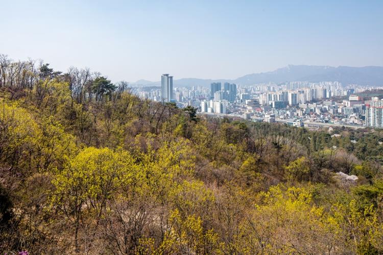 청량근린공원에서 바라 본 풍경(출처: 서울연구원)