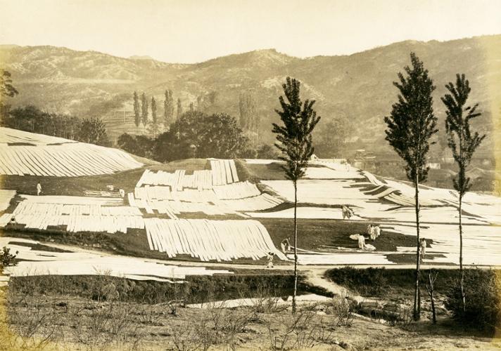 선잠단지에서 흰 삼베를 건조하는 사람(출처: 『근대 한국인의 삶과 독립운동』, 독립기념관)