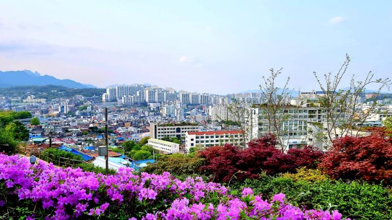 낙산에서 바라본 성북동(©박춘화)