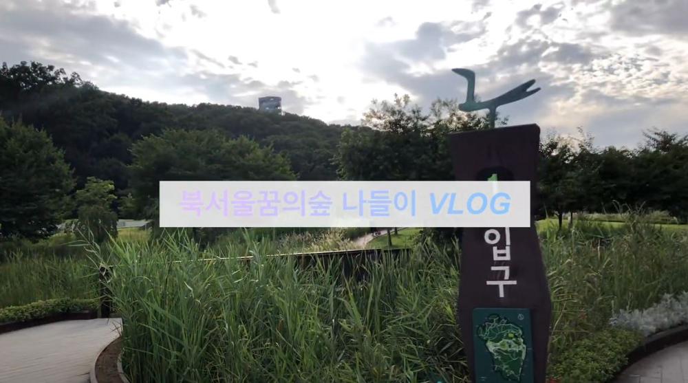 8월의 여름, 북서울 꿈의숲 Vlog