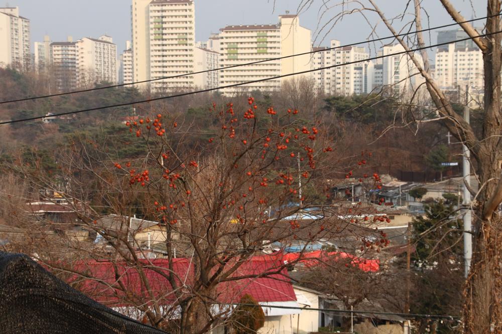 보국문로29라길(정릉골) 일대(11)