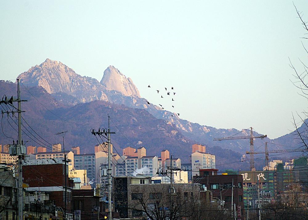 제1회 성북구 민간기록물 수집 공모전_성북천에서 본 북한산(1)