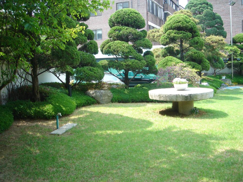 제1회 성북구 민간기록물 수집 공모전_2009년 장위3동 100-1번지 집의 모습(5)