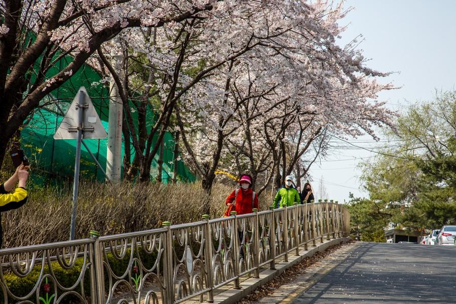 개운산 풍경(1)