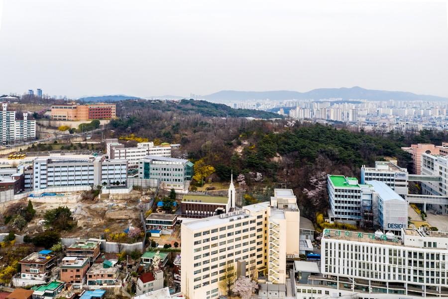 개운산 전경(2)