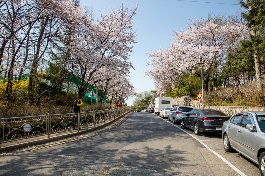 개운산 풍경(2)