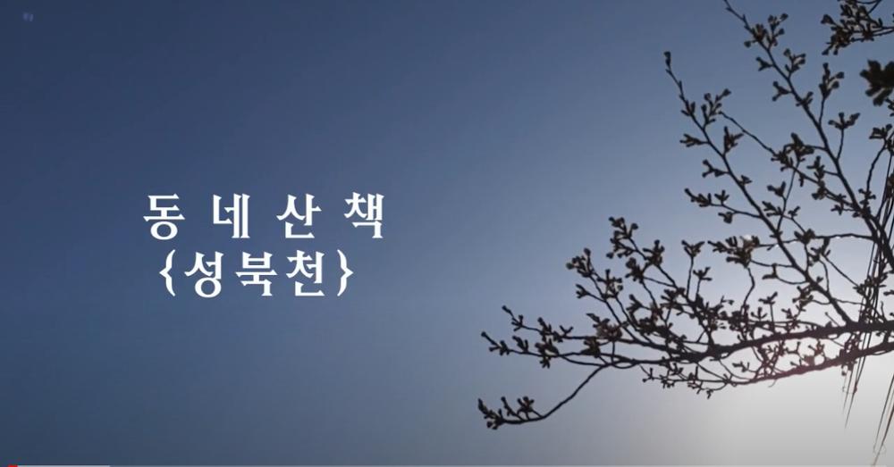 [동네 산책 2회] 성북천