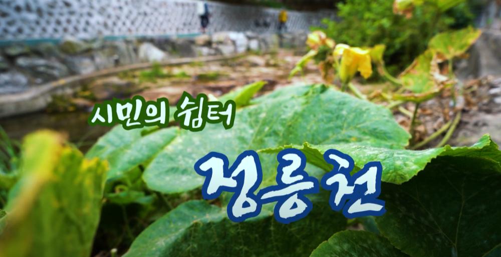 [영상다큐] 시민의 쉼터 정릉천