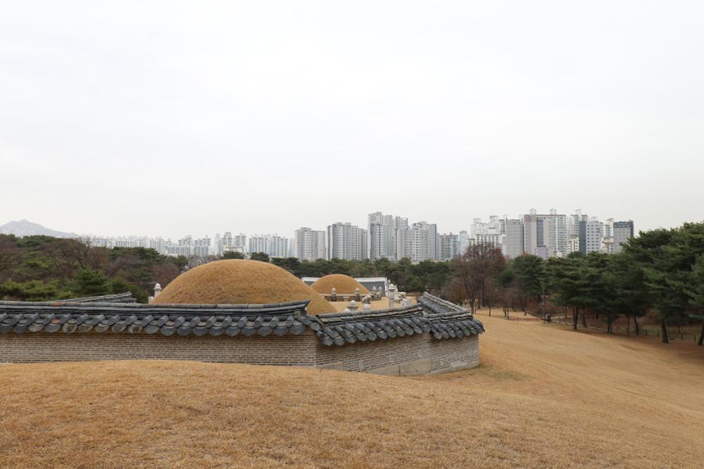 의릉 경종 곡장에서 바라본 석관동(2)