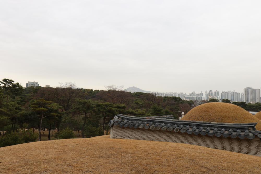 의릉 경종 곡장에서 바라본 석관동(3)