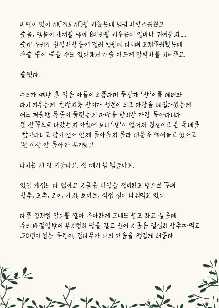 [어른 수선화] 나의 정원(2)