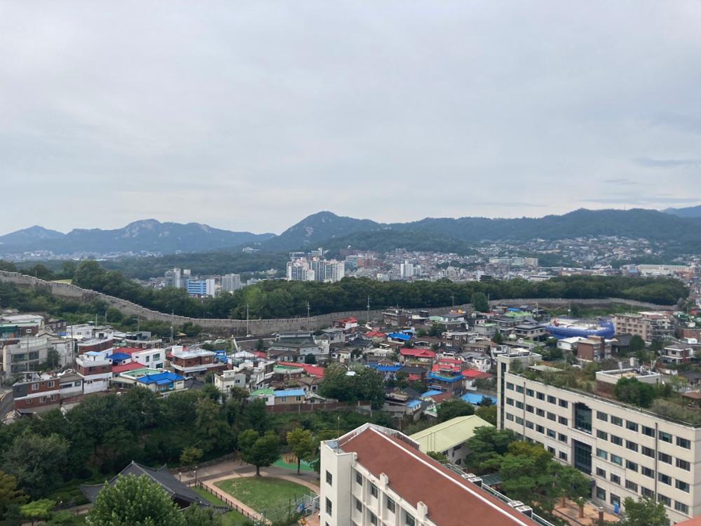 삼선동 일대