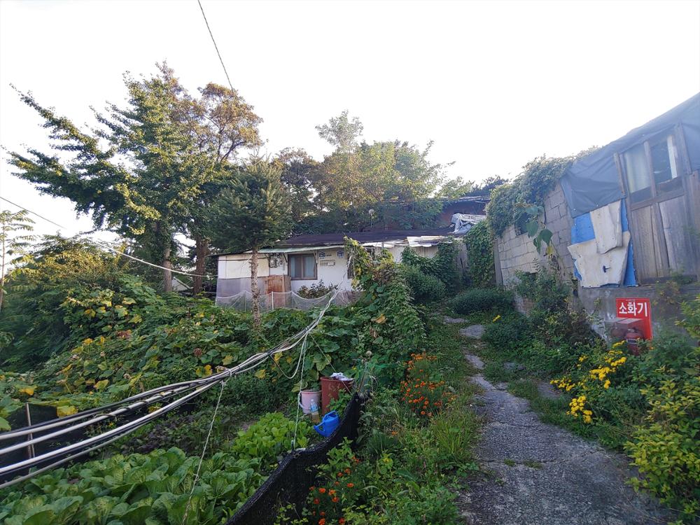 정릉골 골목길(7)