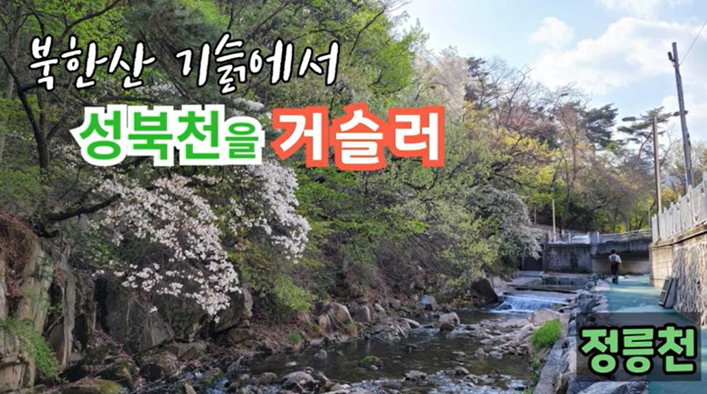 [여기는 성북] 북한산 기슭에서 정릉천을 거슬러