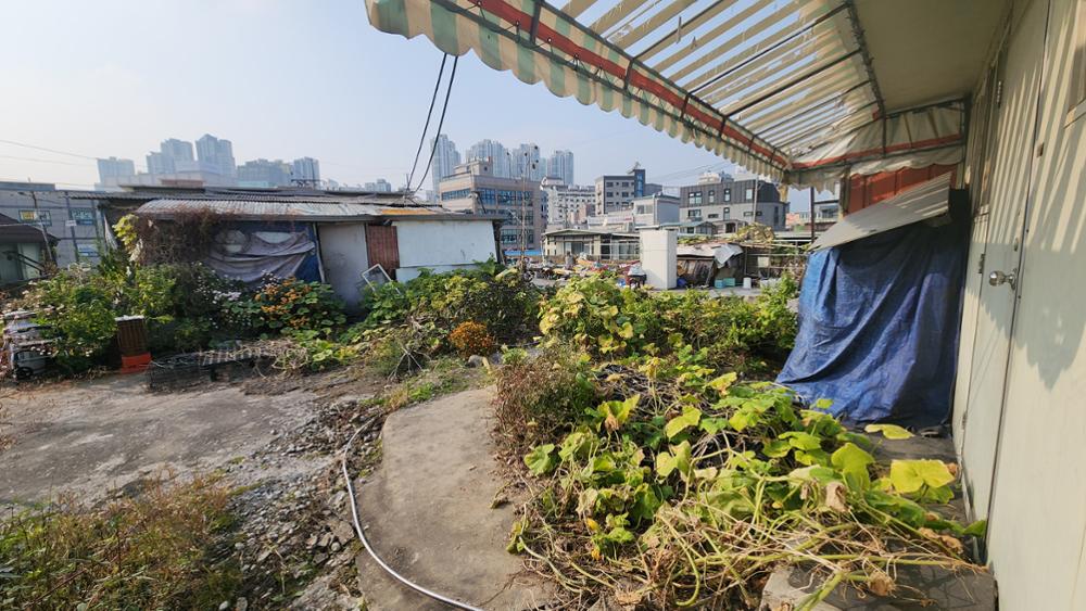 하월곡동 철거 예정 3층 건물 (7)