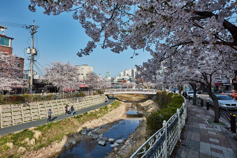 2022 성북천 (1)