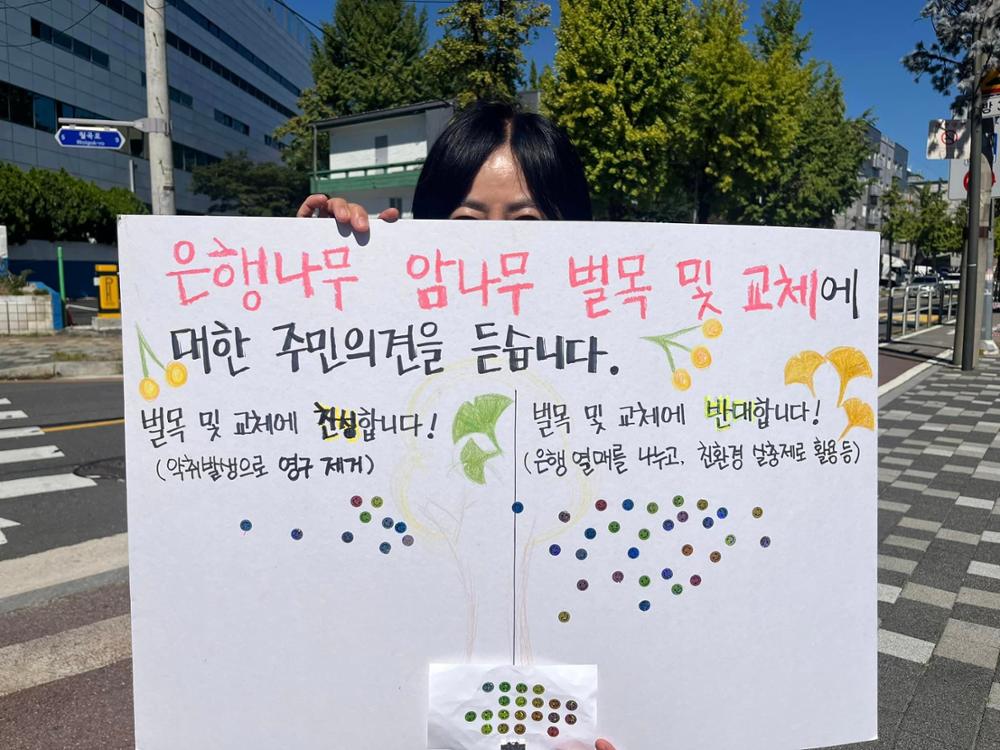 성북구청 은행암나무 교체사업 거리 설문조사(1)