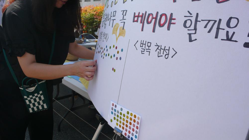성북구청 은행암나무 교체사업 거리 설문조사(4)