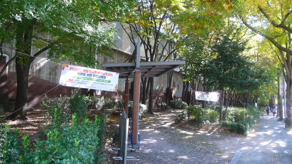 성북구청 은행암나무 교체사업 주민설명회 현수막