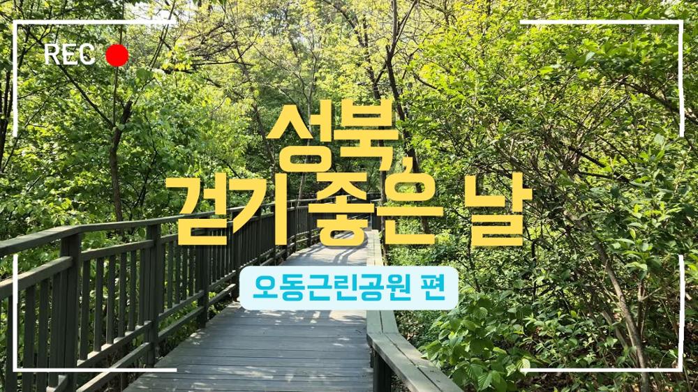 [성북, 걷기 좋은 날] 오동근린공원 산책 영상