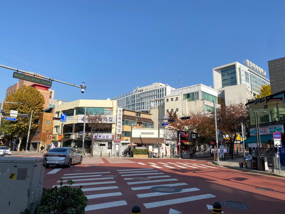 성신여대 로데오거리 전경(7)