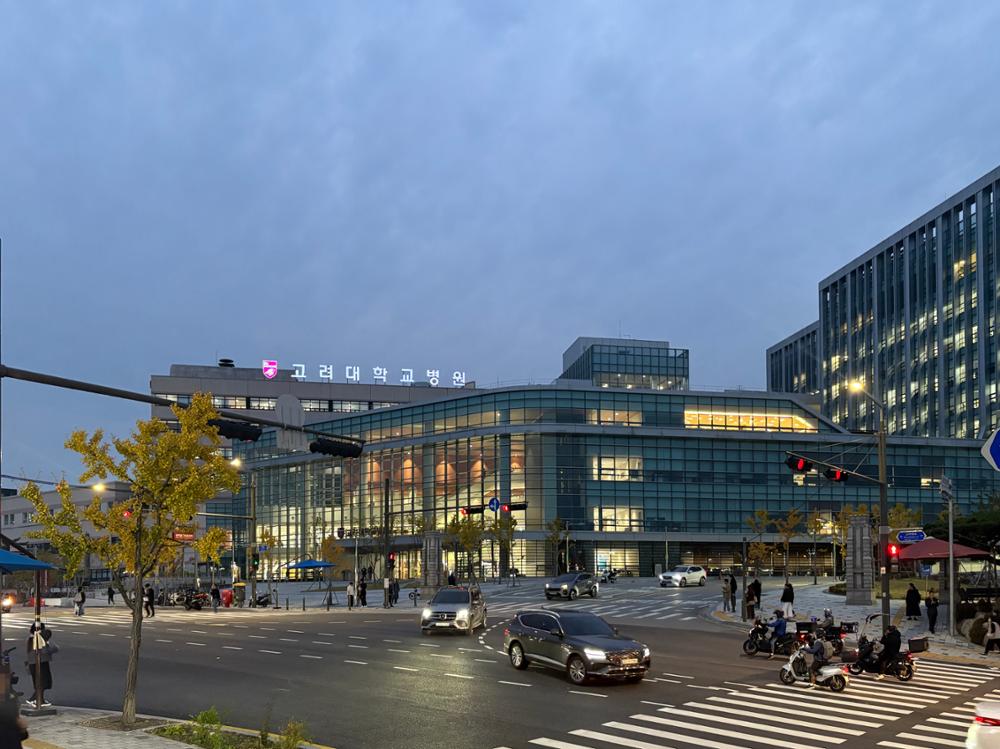 고려대학교 안암병원 정문