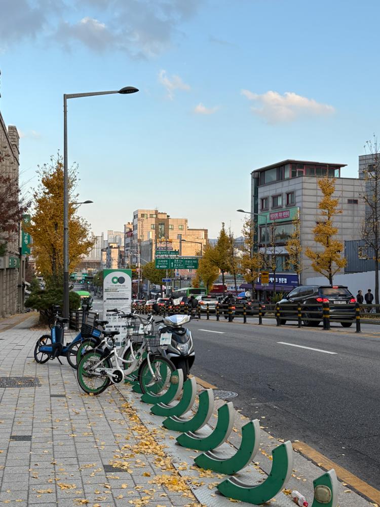 안암역 따릉이 거치대