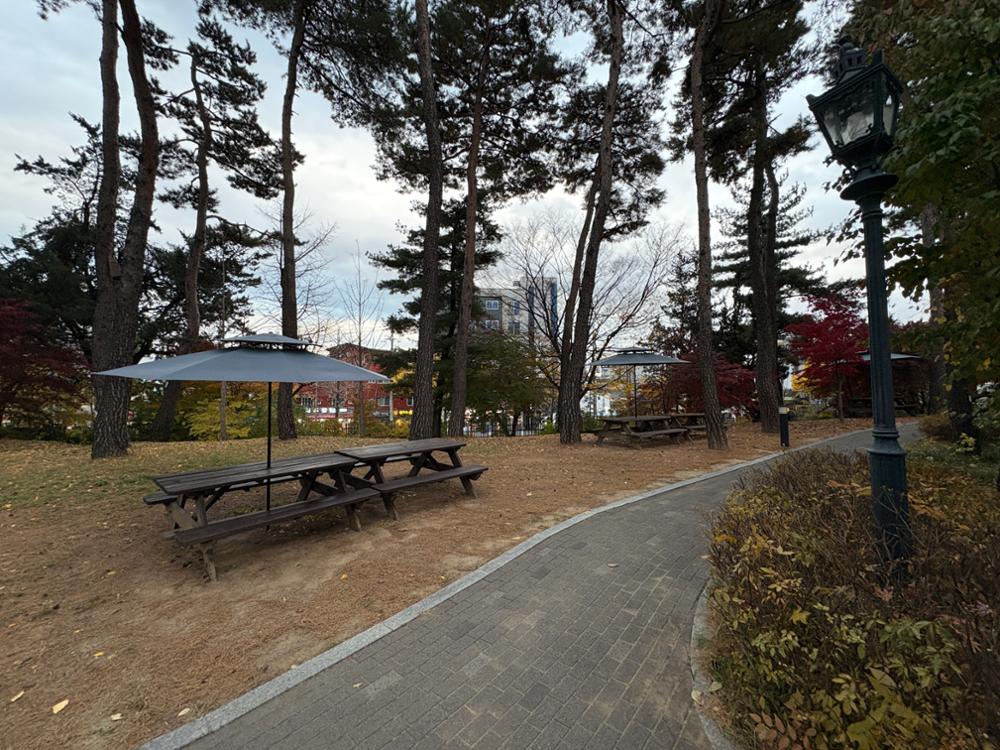 고려대학교 쉼터 1