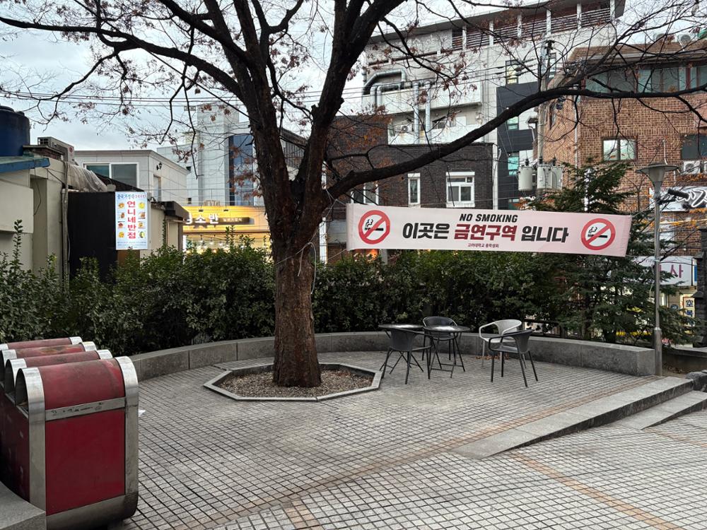 고려대학교 쉼터 2