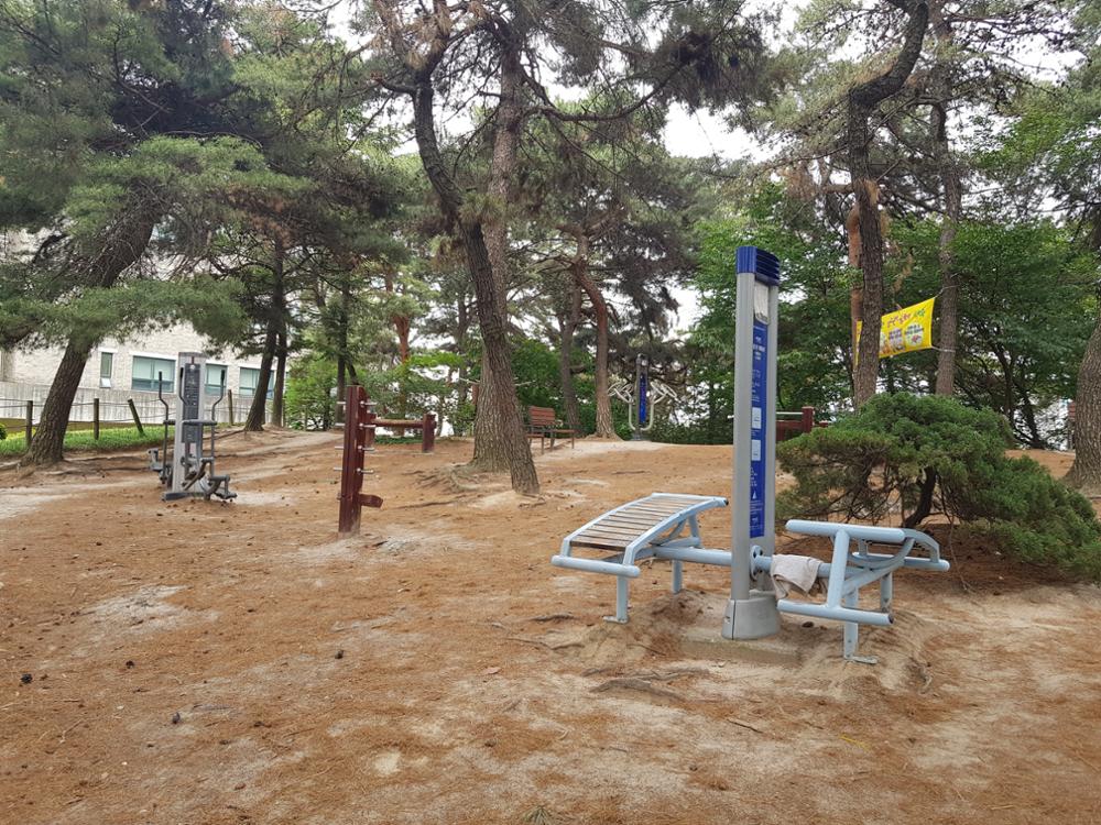 천장산 산책로 소나무공원쉼터
