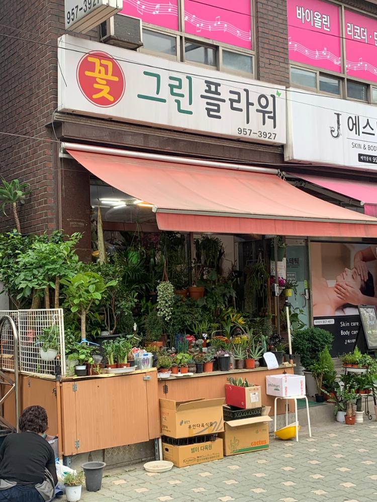 그린플라워