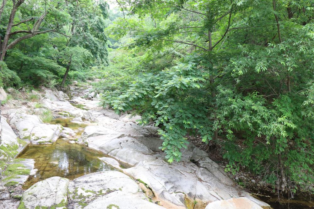 정릉 북한산국립공원 계곡