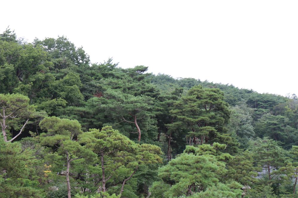 성북동 산협