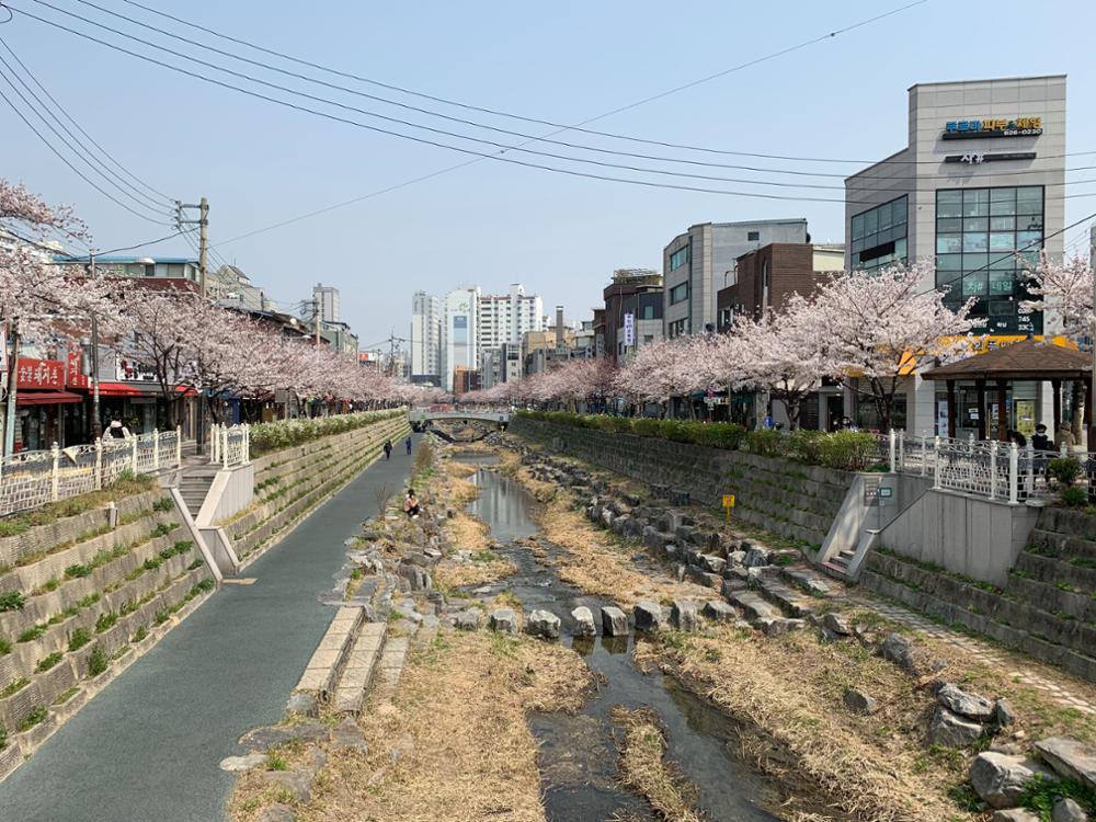 성북천(삼선동 부근)(1)