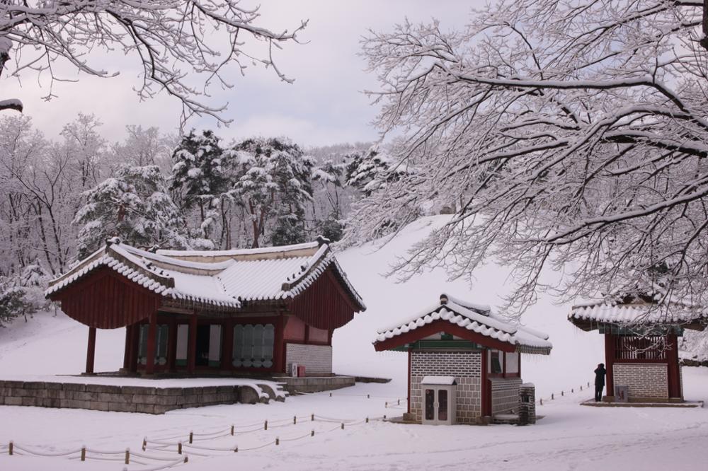 정릉 설경