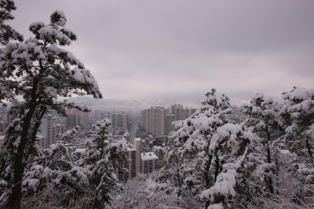 개운산에서 본 성북구 일대