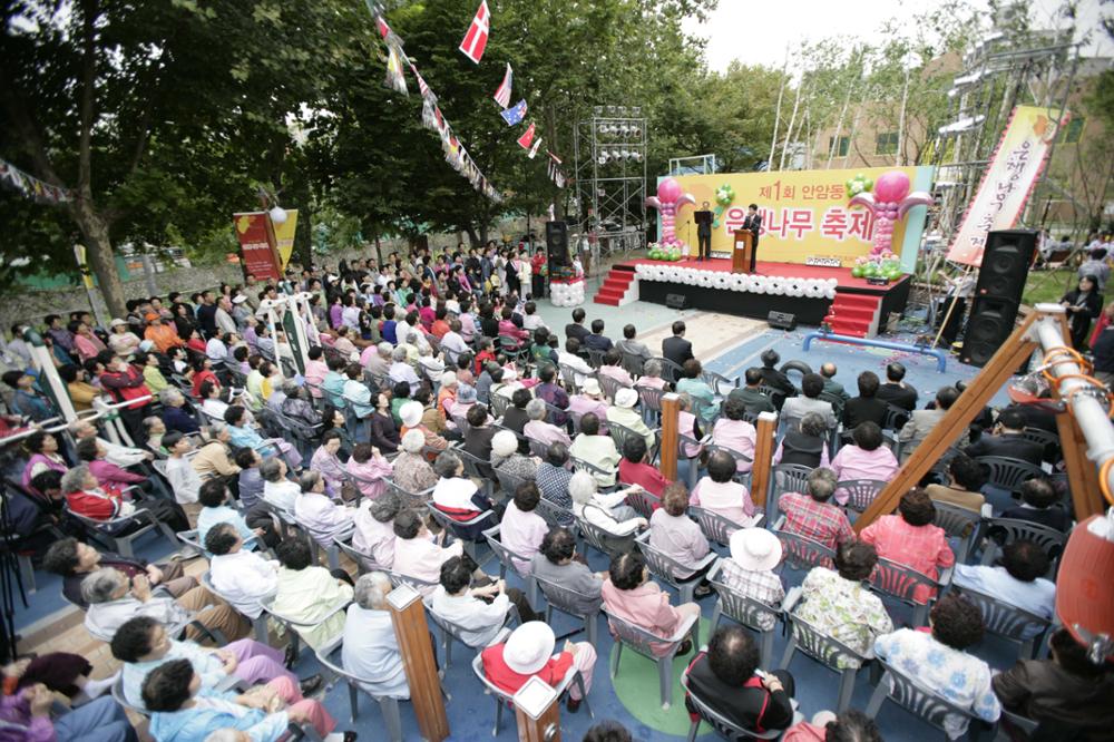 2007 안암동 은행나무 축제(2)