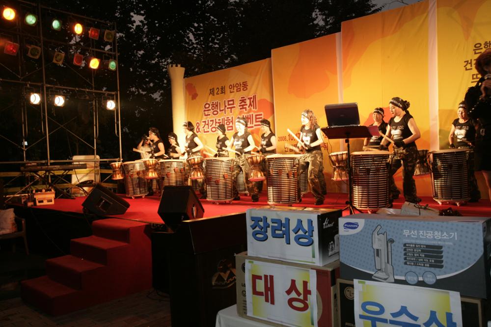 2008 안암동 은행나무 축제(2)