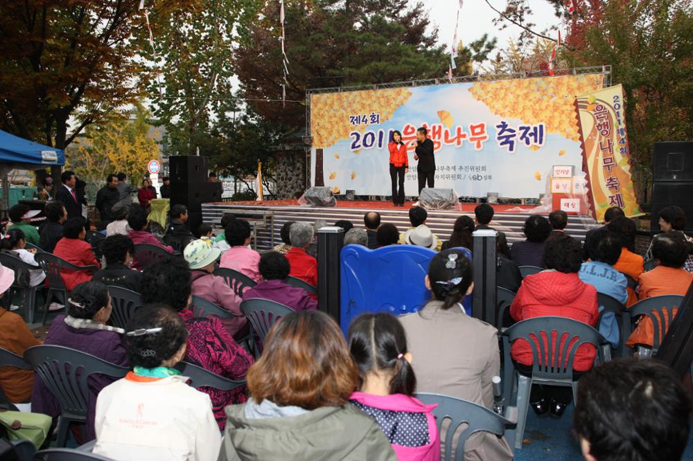 2011 안암동 은행나무 축제(2)