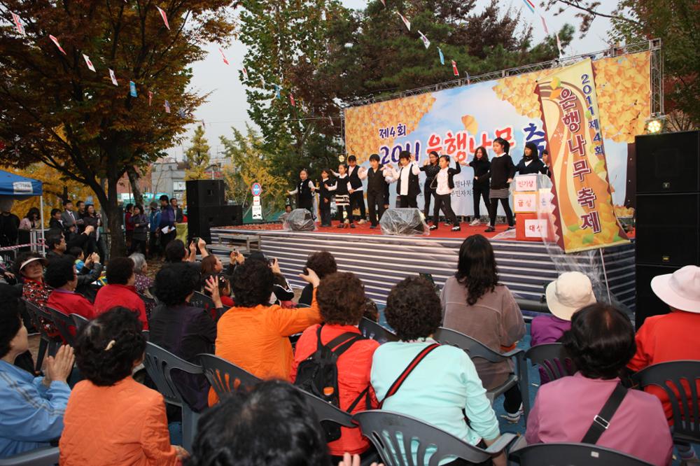 2011 안암동 은행나무 축제(4)