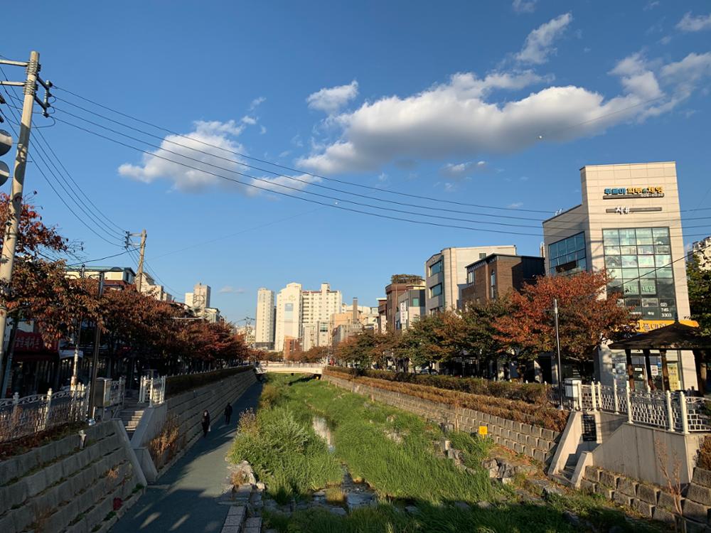 삼선동 희망의 다리에서 본 성북천 풍경