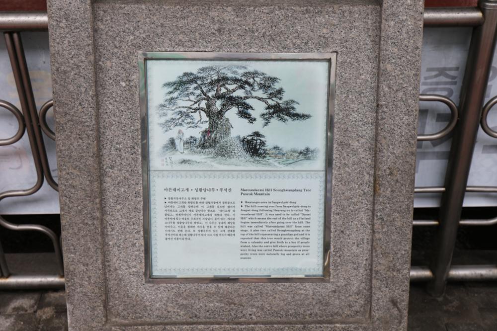 마른대미고개·성황당나무·푸석산 표지석(1)