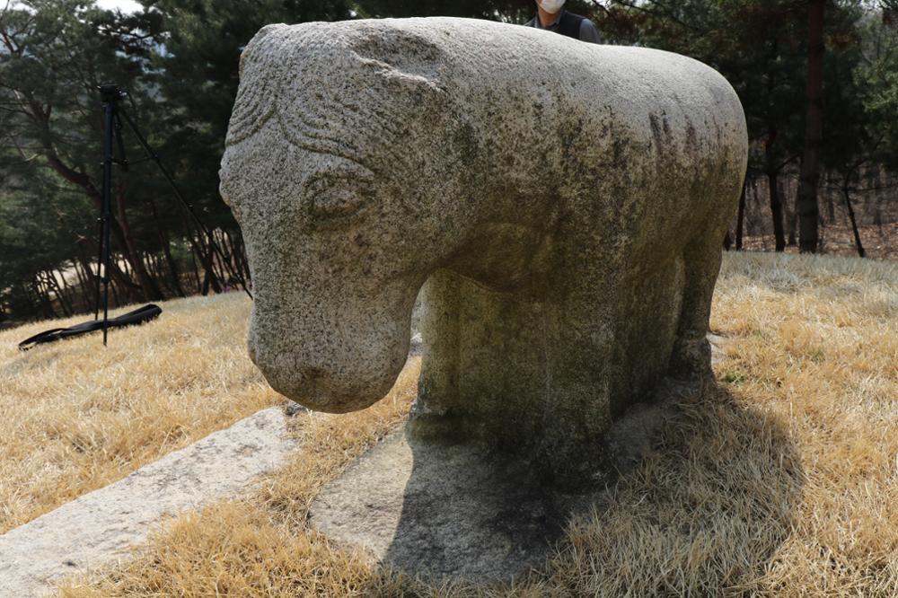 정릉 석마(좌) 우측면