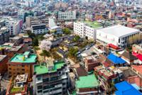 장위동 김진흥 가옥 주변 전경(2)