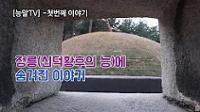 [능말TV] 정릉(신덕황후)에 숨겨진 이야기