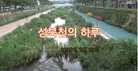 [다큐사랑방] 성북천의 하루(이재순 감독)