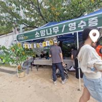 제8회 돈암1동 한마음축제(2)