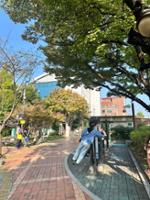 꿈나라어린이공원  운동시설 전경