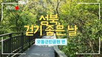 [성북, 걷기 좋은 날] 오동근린공원 산책 영상