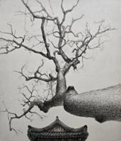 박선우, <시간을 올려다보다>